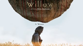 #1 Willow