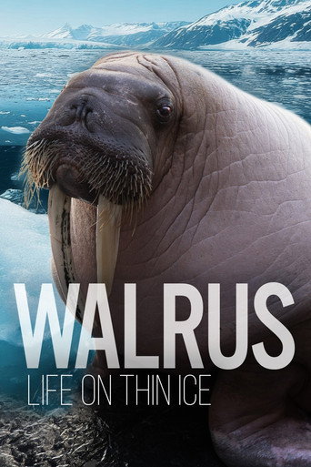 Cartell de Walrus: Life on Thin Ice