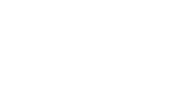 The Never Ever Mets logo