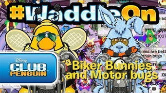 Biker Bunnies & Motor Bugs