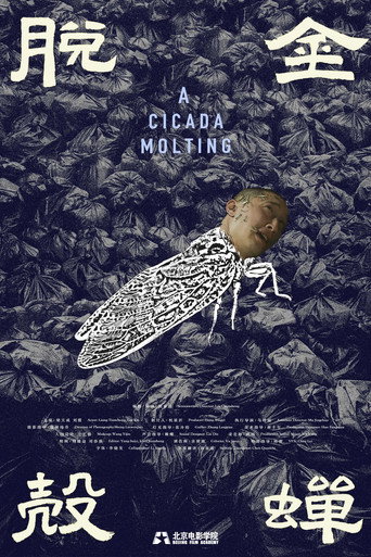 A Cicada Molting