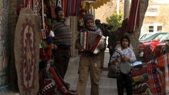 The Accordion (2010)