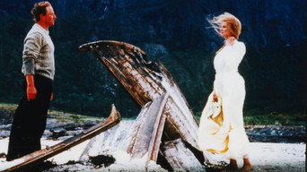 The Telegraphist (1993)