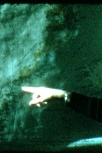 Póster de The Finger and The Message