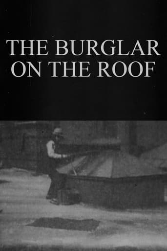 Poster för The Burglar on the Roof
