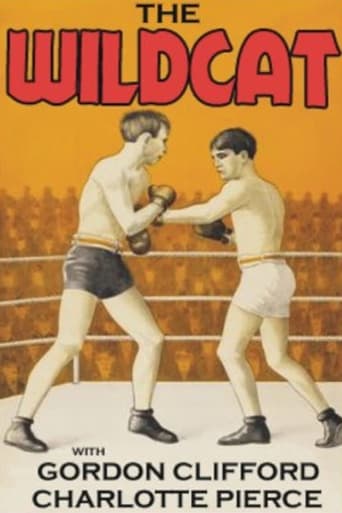 Poster of The Wildcat