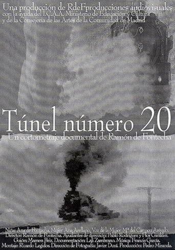 Túnel número 20 (2002年)のポスター画像 - FindKey