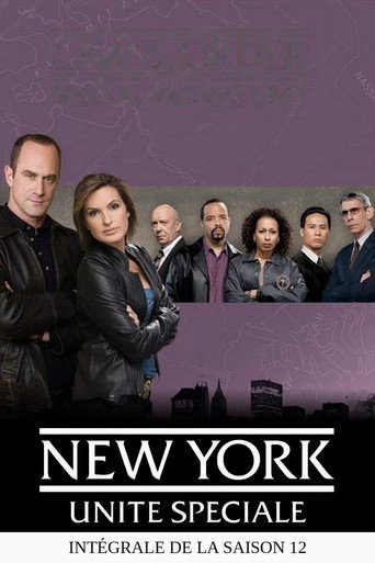 New York Unité Spéciale - S12 - Poster