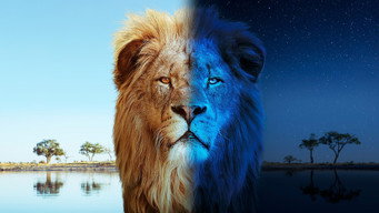 Big Cats 24/7 (2024- )