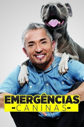 Cesar 911