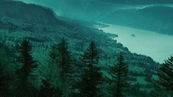#159 Сутінки