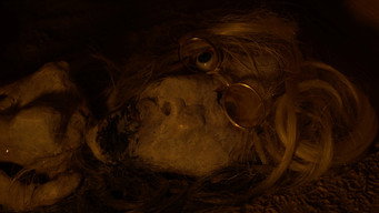 Rumours of Madam Roach (2026)