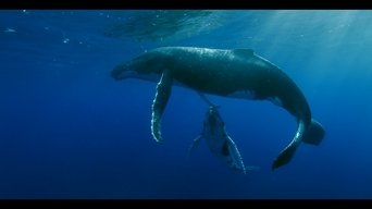Titans of the Deep - S1E01