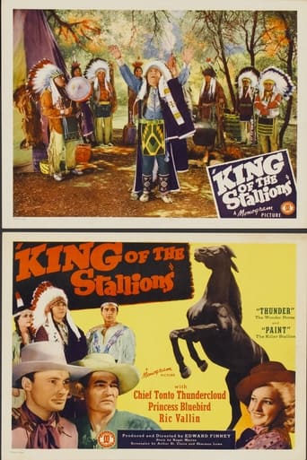 Poster för King of the Stallions