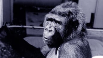 Koko: A Talking Gorilla (1978)