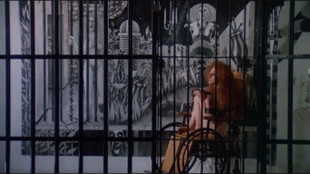 #24 The Mafu Cage