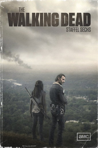 Staffel 6