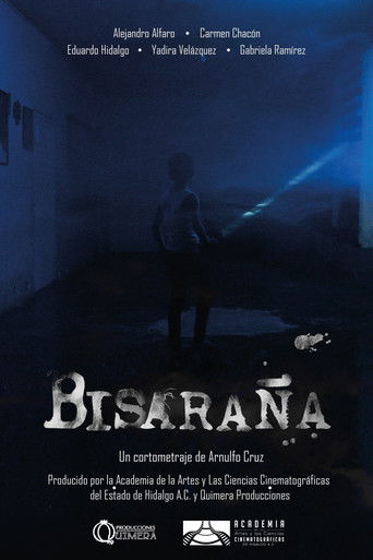 Bisaraña poster