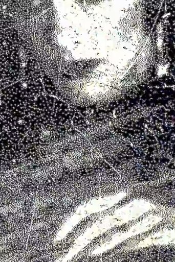 Debris