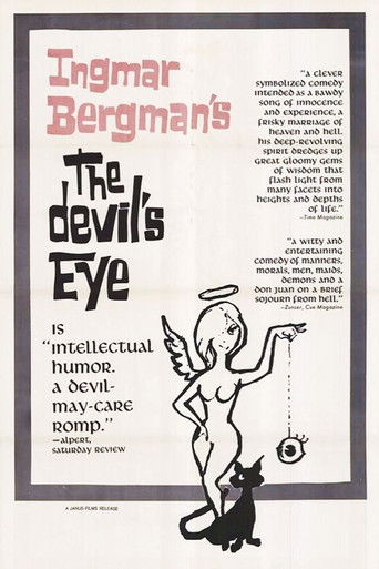 The Devil's Eye poster 8