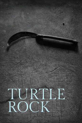 Turtle Rock (2017)