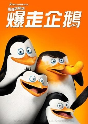 马达加斯加的企鹅