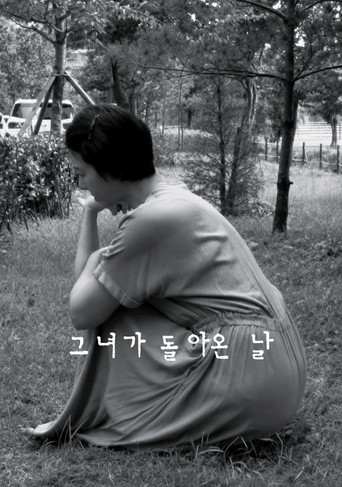 그녀가 돌아온 날 — Pósters 6