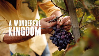 A Wonderful Kingdom (2021)
