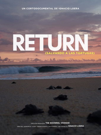 Return: Salvando a las tortugas