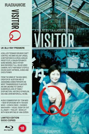 Visitor Q poster