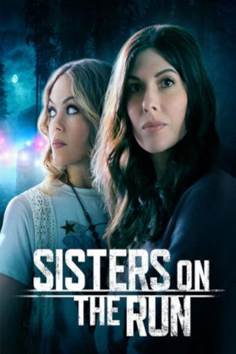 Sisters on the Run poster