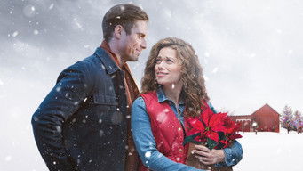 Galeria 3 - Navidad entre las flores