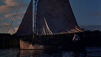 #5 Wind Across the Everglades