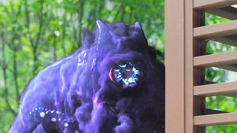 Episode 21 — Episode 21