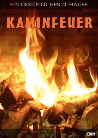 Kaminfeuer 10 Stunden