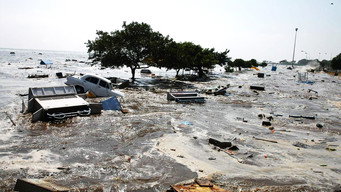 Asian Tsunami: The Deadliest Wave (2014)