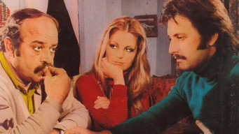 Bir Garip Yolcu (1973)