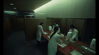 Cena 2 de Stem