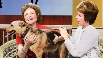 The Pet Set (1971-1972)