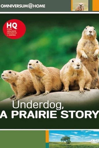 Underdog, A Prairie Story poster