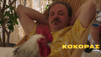 Rooster media image