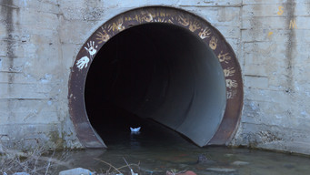 Under the Road, the River! (2019)