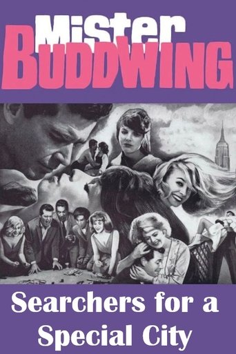 Searchers for a Special City poster