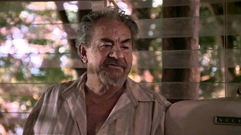 Travelling North (1987)