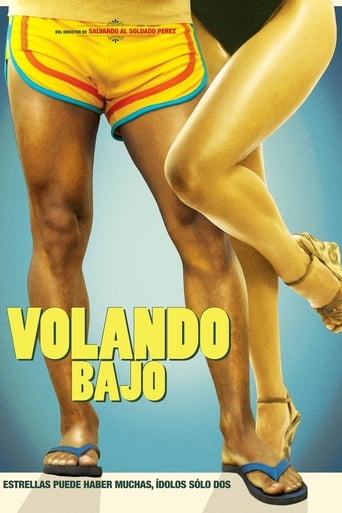 Poster of Volando bajo