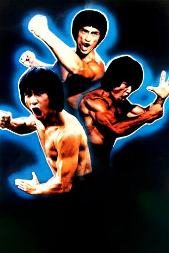 The Clones of Bruce Lee poster 3