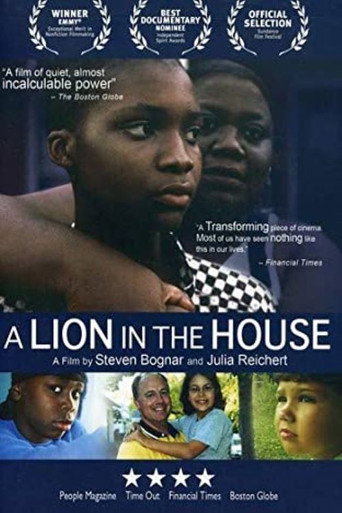 A Lion in the House