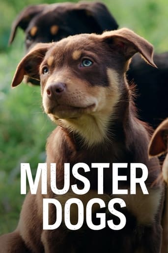 Muster Dogs image