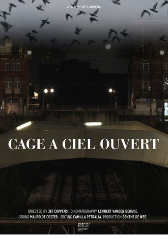 Cage À Ciel Ouvert (2025)