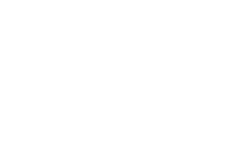 Light in the Dark logo